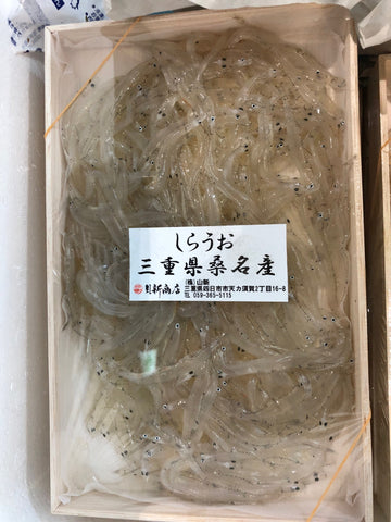 桑名　白魚　三重　Okawari　鮮魚通販　豊洲直送