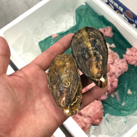 兵庫県坂越産　真牡蠣　豊洲 okawari 鮮魚店　鮮魚通販