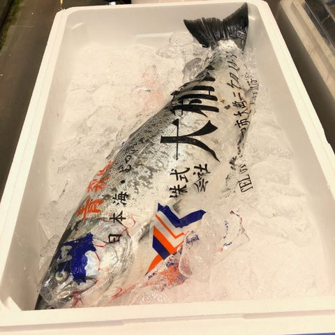 サクラマス　本マス　青森　北海道　三陸　Okawari鮮魚店　鮮魚通販