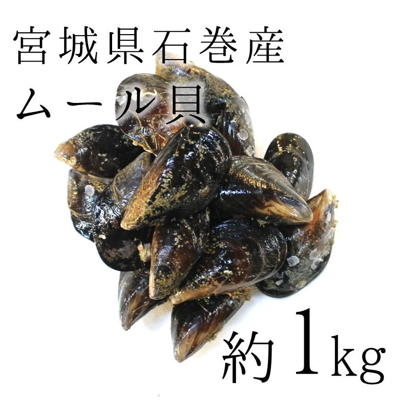 鮮魚通販［豊洲 Okawari 鮮魚店］活 しったか 尻高 シッタカ 貝 国産