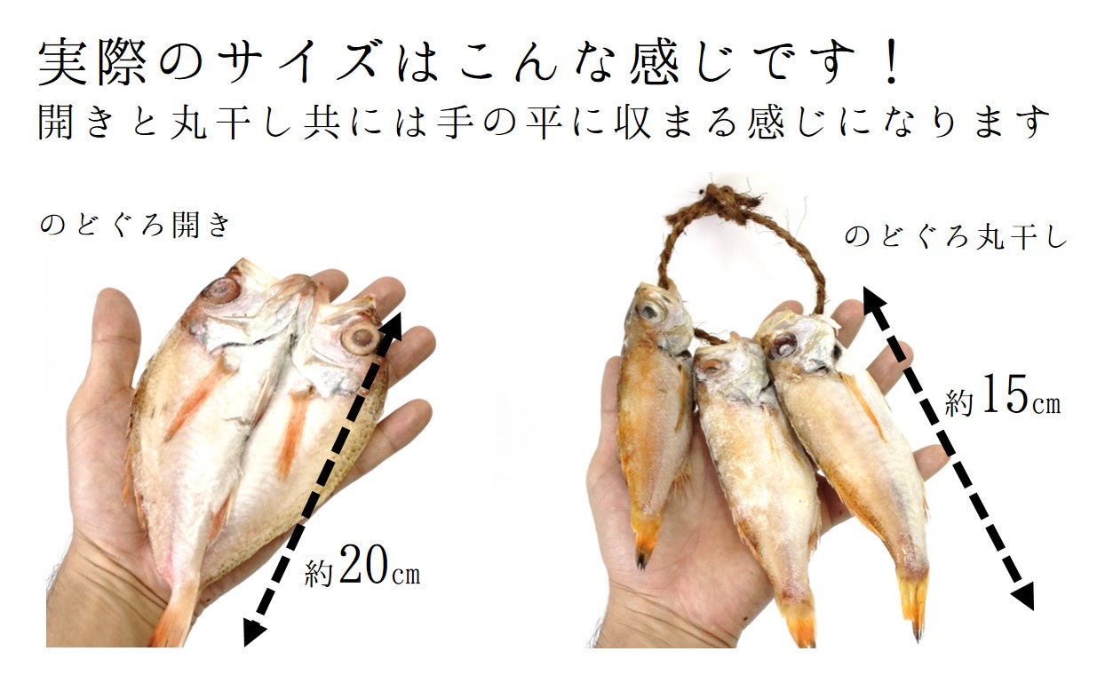 高級干物 のどぐろ 詰め合わせセット 小サイズ計5尾 300g 下関産 韓国産 贈答用 ノドグロセット 冷凍 喉黒 ギフト プレゼント 豊洲おかわり鮮魚店