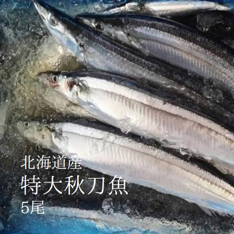 青魚 豊洲おかわり鮮魚店