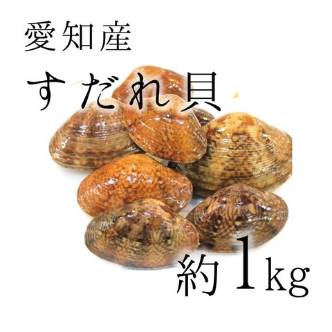 鮮魚通販 豊洲 Okawari 鮮魚店 天然すだれ貝 活 愛知産他 スダレ貝 約1kg 豊洲直送 甘味が強い旨い貝 希少性の高い貝 スダレ貝１k 冷蔵 豊洲おかわり鮮魚店