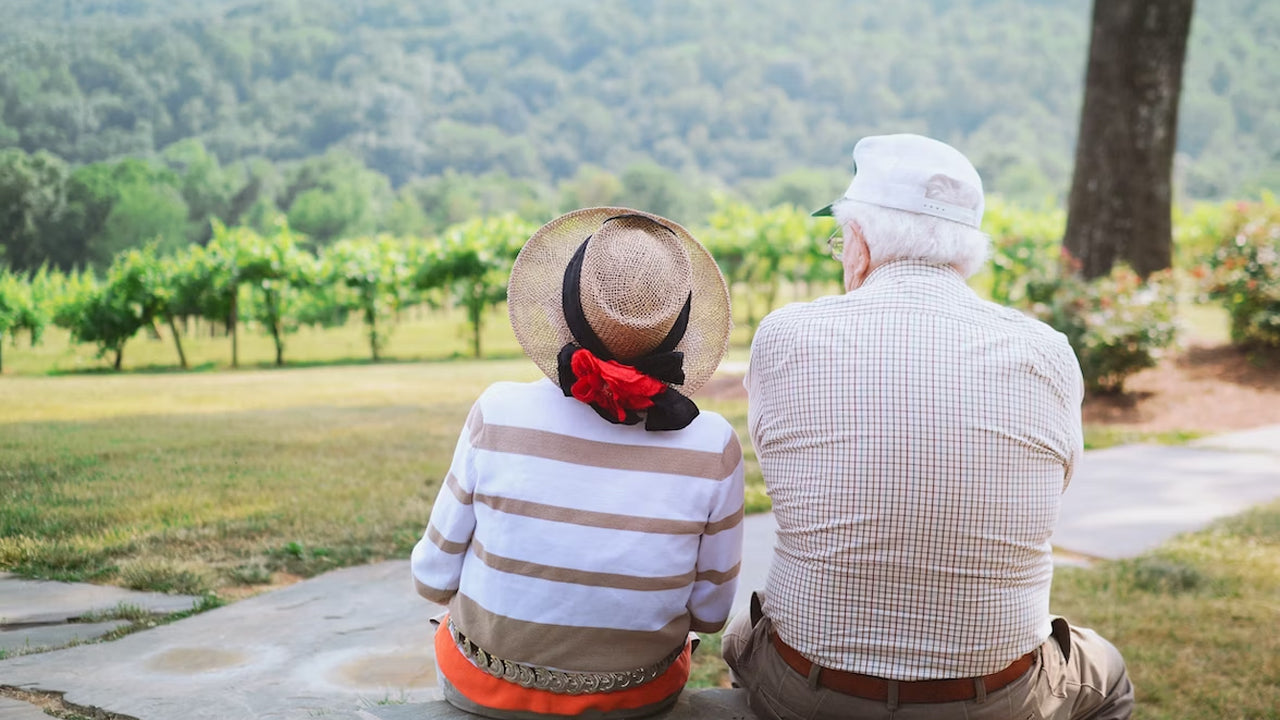 electric trikes for seniors