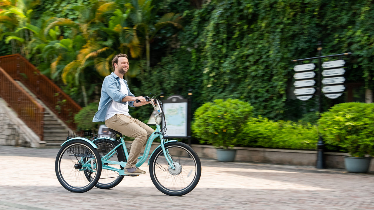 electric trike for elderly