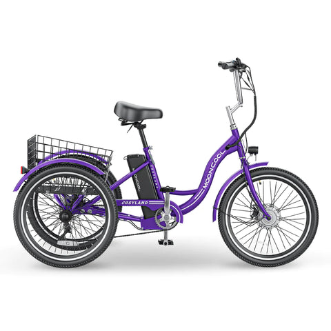 Redefining Mobility Can E Trikes Replace Cars for Seniors