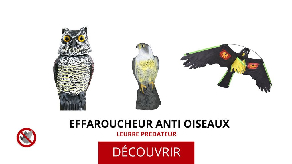 Voir les leurre anti oiseaux