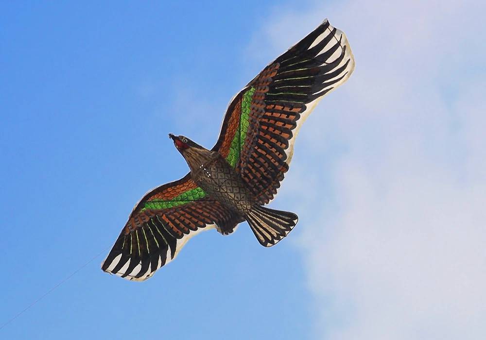 Cerf volant effaroucheur anti oiseau