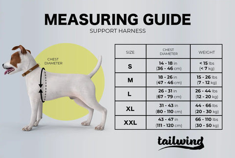 How to choose the perfect harness for your dog 