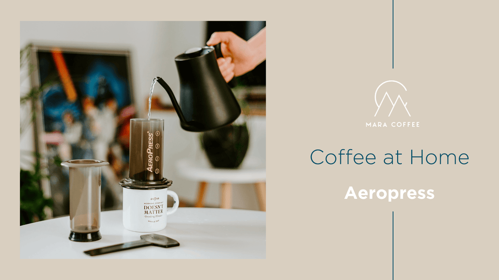 Guides & Tips – Mara Coffee