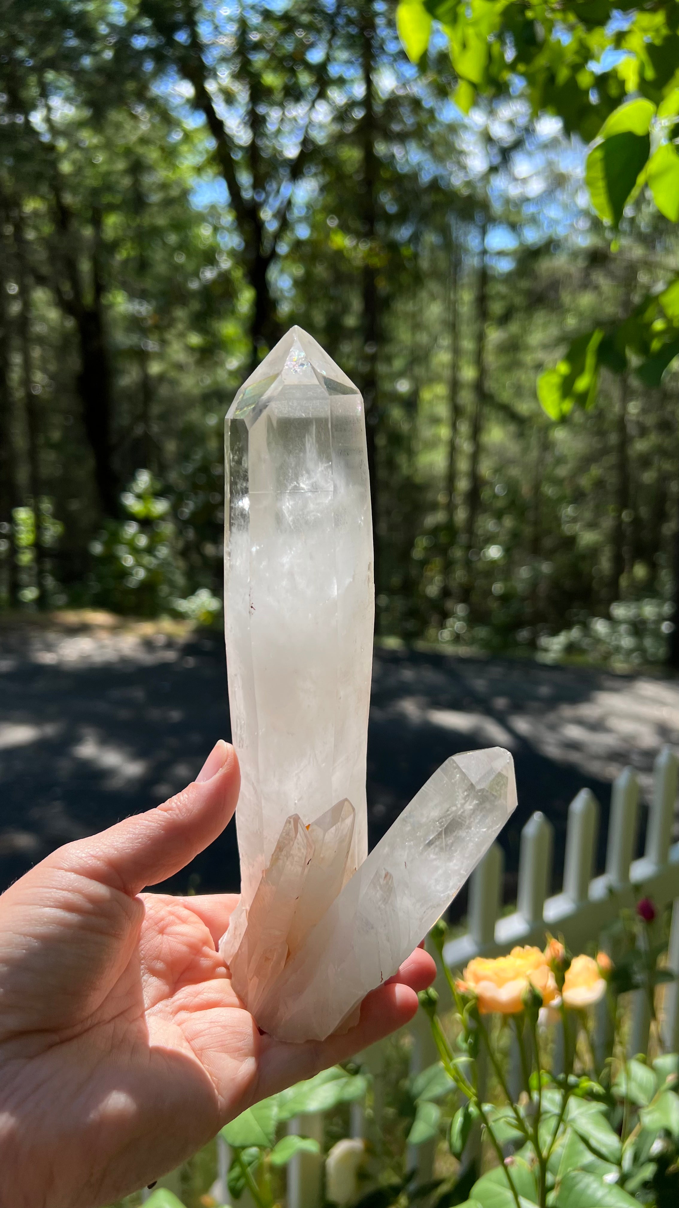 Clear Standing Lemurian Quartz, Brazil