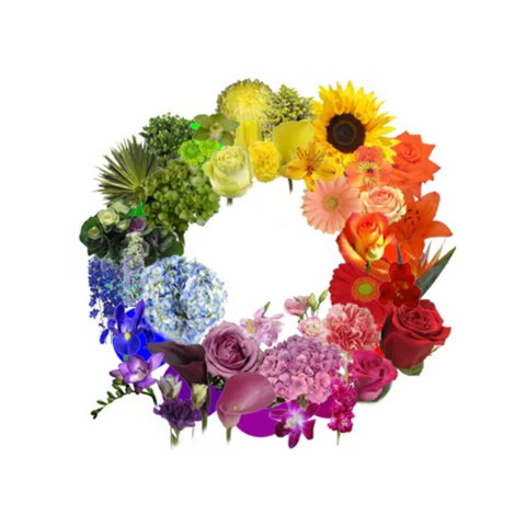 Flower Color Wheel