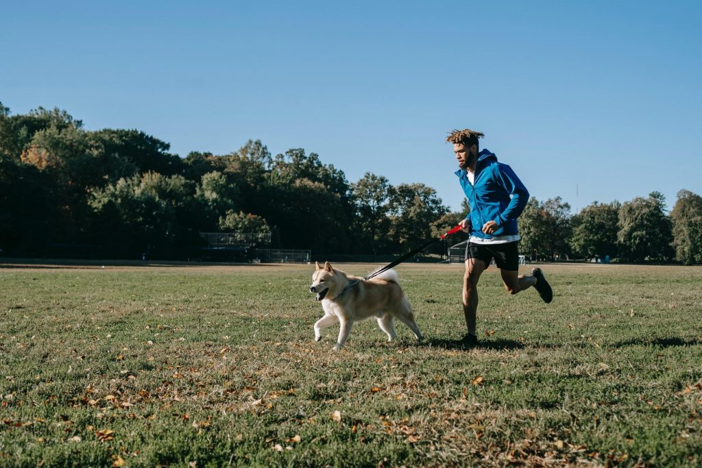 A healthy young man and dog running in a park. Exercise and a healthy diet as well as supplementation with prebiotics and probiotics can help keep the weight off.