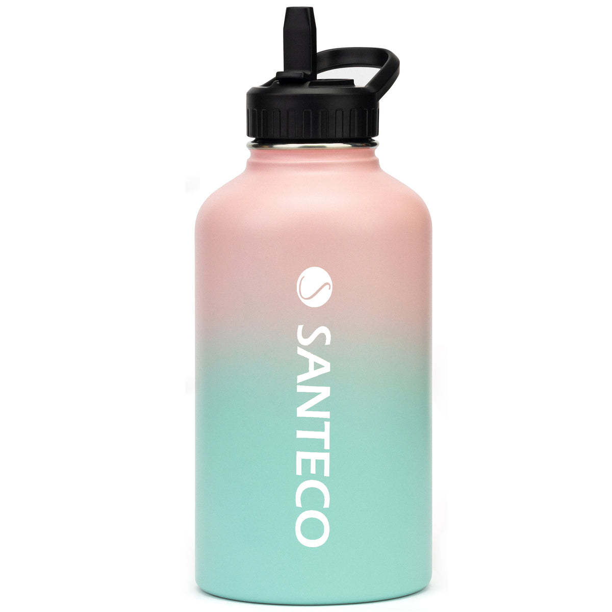 Water Bottle, 3 sizes, Stainless Steel with Sip Straw- Women in Medici –  Island Digital Imagers Medley