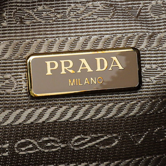 Prada Cameo Beige Re-Edition 2005 Bag – The Closet