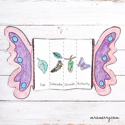 Butterfly Life Cycle Flip Book – Mrs Jones's Class