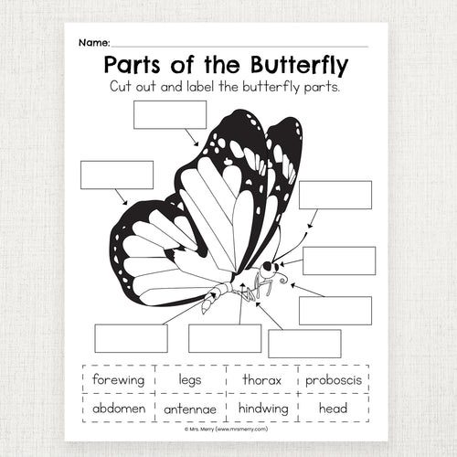 Butterfly Printable Activities – Mrs. Merry