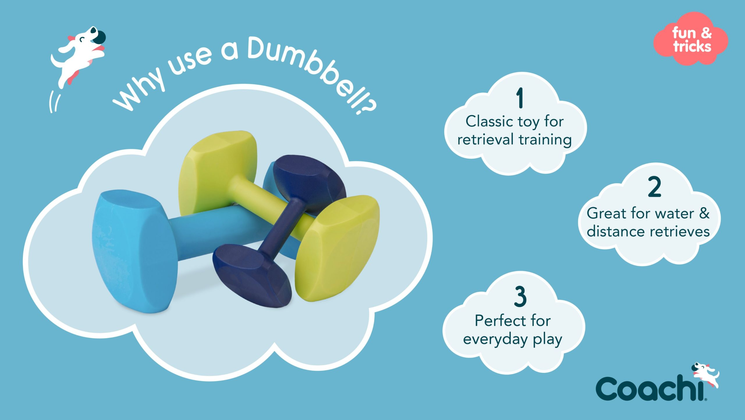 CoA Coachi Training Dumbbell