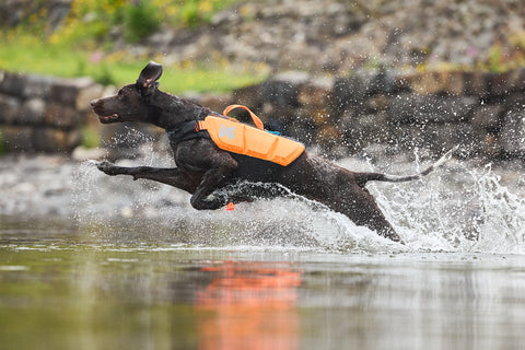 Non-stop dogwear Protector life jacket - Life Jacket for Dogs