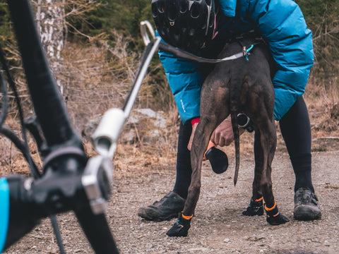 Non-stop dogwear Protector Booties - Dog Booties