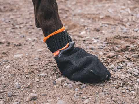 Non-stop dogwear Protector Booties - Dog Booties