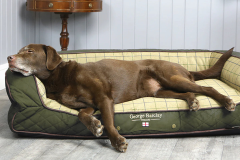 George Barclay Country Dog Sofa Bed - Olive Green