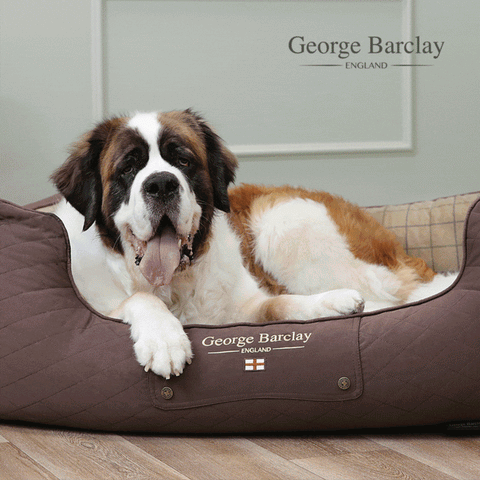 George Barclay Country Box Beds for Dogs