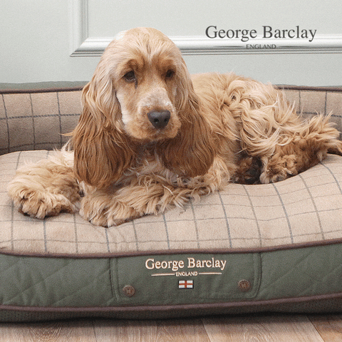 George Barclay Country Dog Sofa Bed