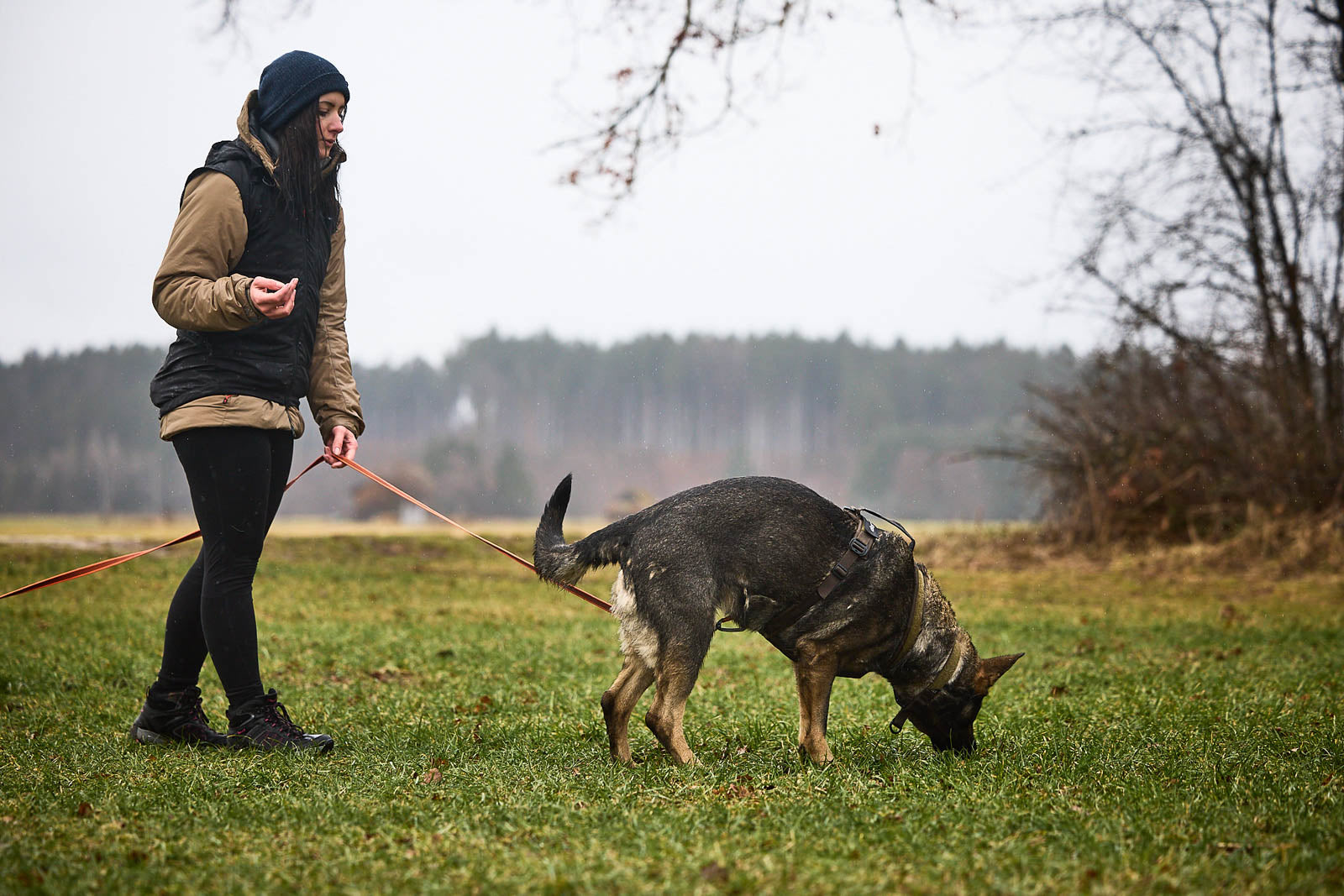 Non-stop dogwear Line Harness Grip WD