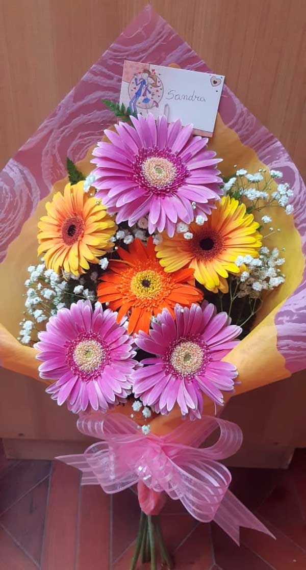 Ramo de 6 Gerberas – Florería Jacqueline