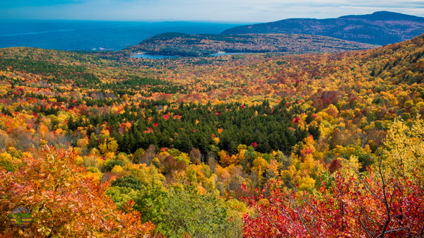 North/South Lake from North Point; Haines Falls, NY