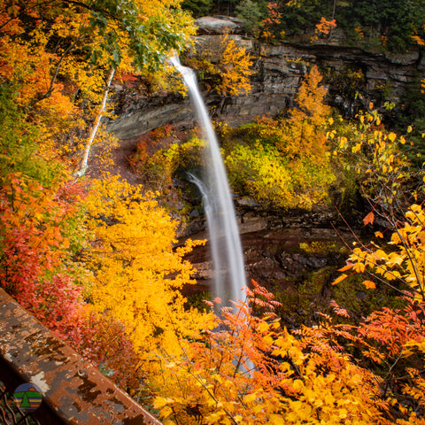 Kaaterskill Falls in Autumn; Haines Falls, NY