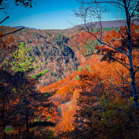 Catskills Escarpment Trail in Autumn; Haines Falls, NY