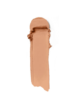 Skin Rewind Complexion Stick - Beech 19W