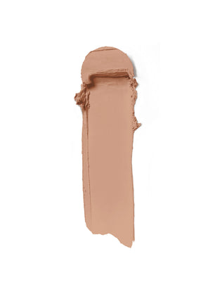 Skin Rewind Complexion Stick - Alder 23C