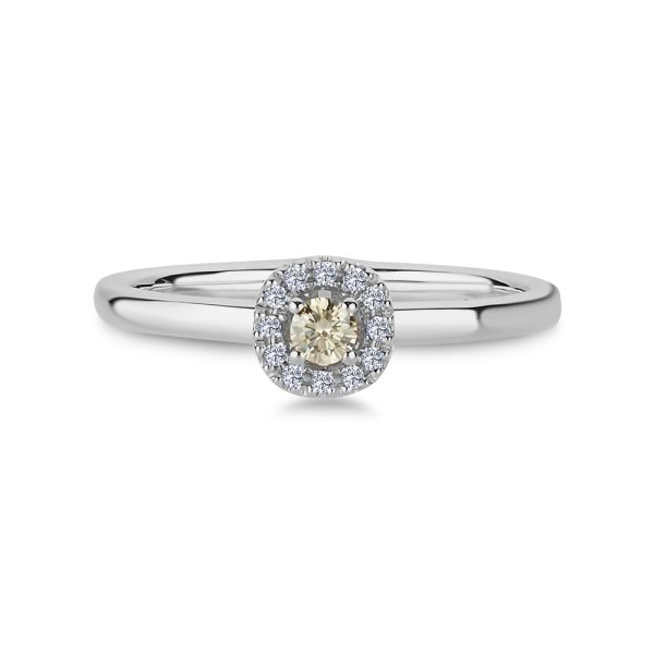 Nuran - Champagne ring 14 kt. hvidguld