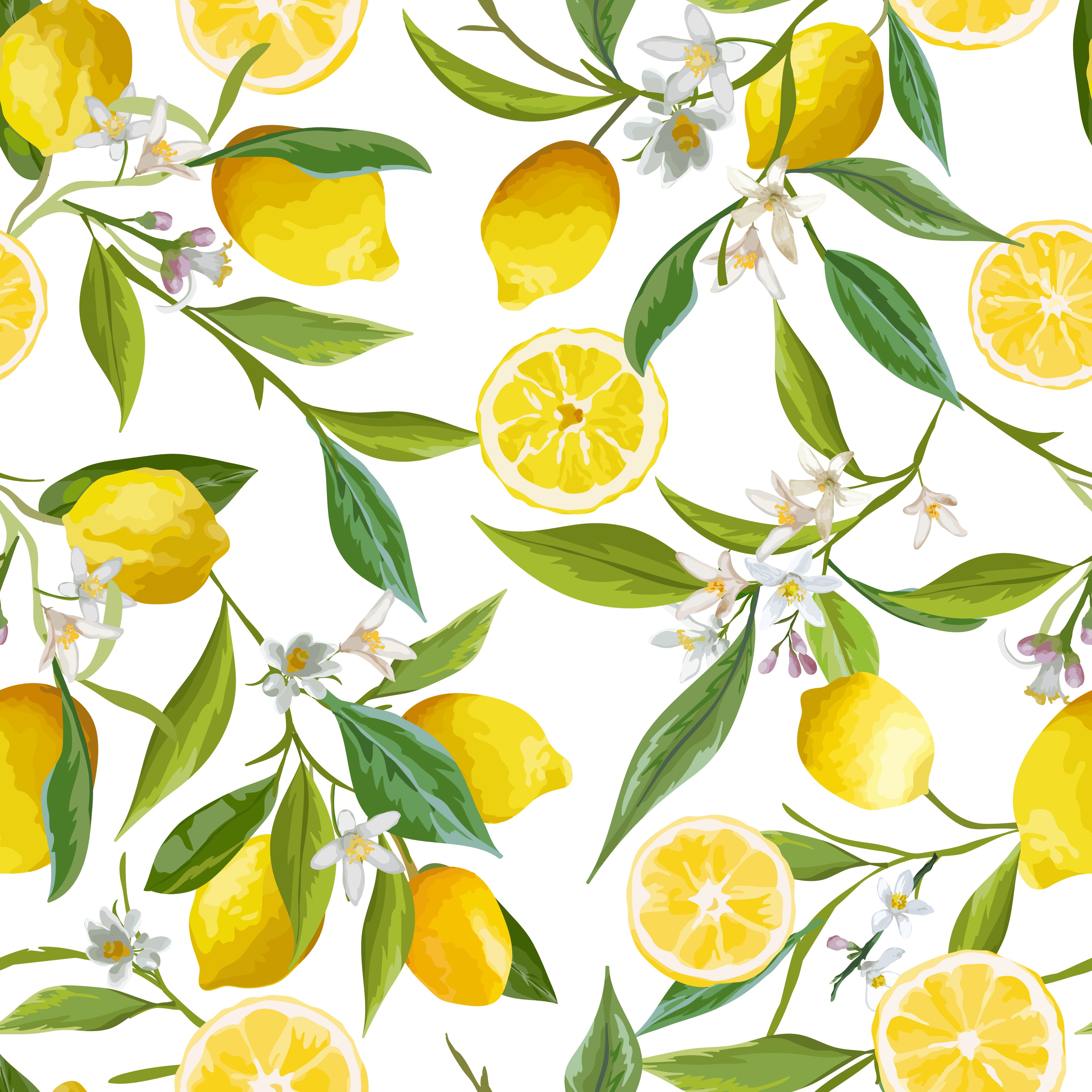 Romantic lemon tree garden Pattern Wallpaper for Walls  Lemon Blossom