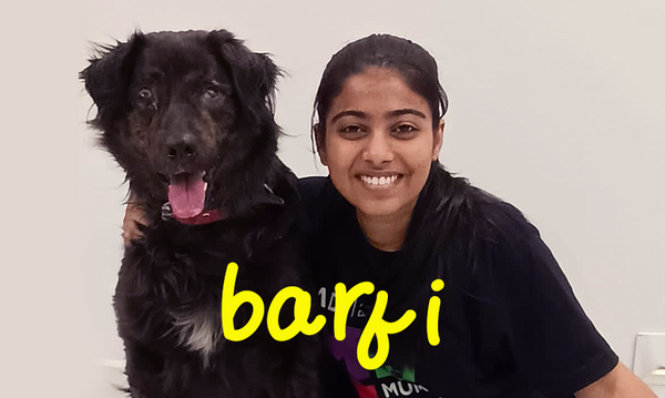 Barfi - A story of lost dog