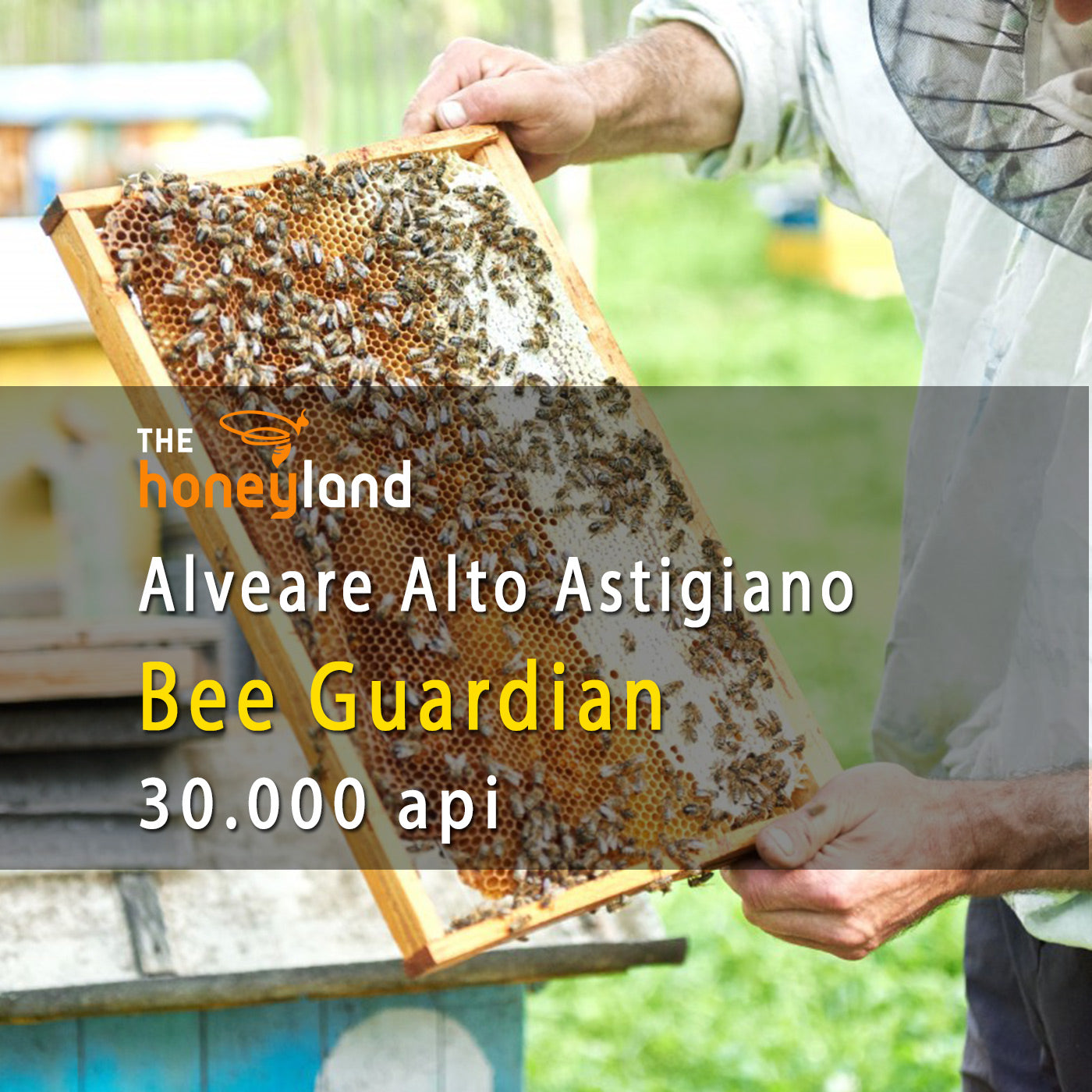 Bee Supporter - adotta arnia intera Piemonte Albero della Vita 2024
