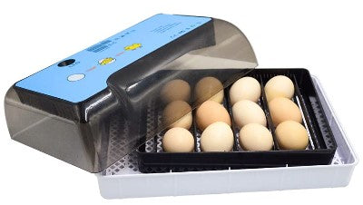 12 uova incubatrice