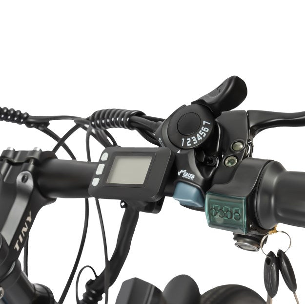 Mountain bike 26 pollici bicicletta elettrica con display LCD mountain bike elettrica 250 W motore e 21 velocità bici elettrica