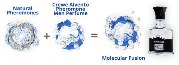 flysmus™ Crewe Alvento Pheromone Men Perfume