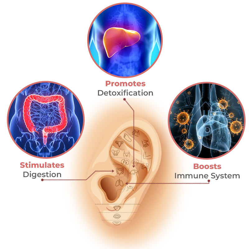 SlimEdge™ Lymph Flow Germanium Earrings