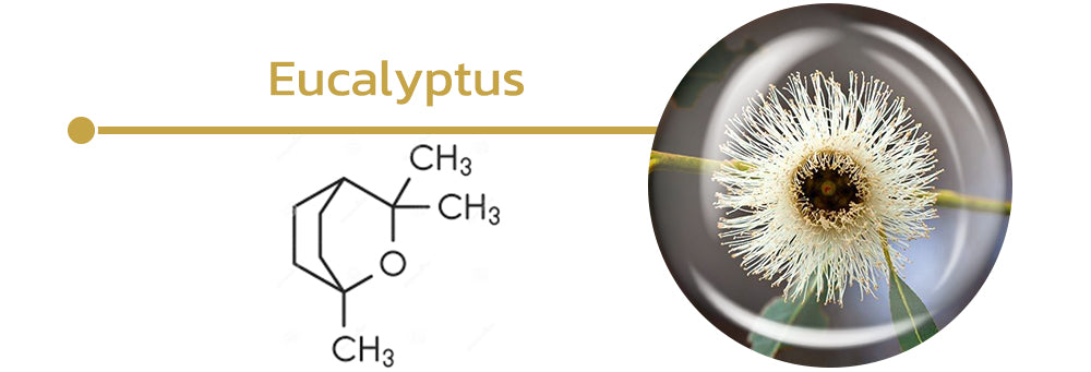 flysmus™ UpNature Homme Chakra Essential Oil