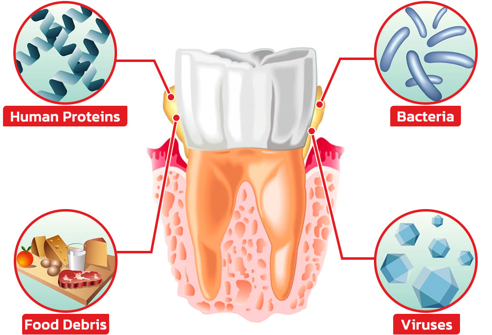 KK™️ SP4 Probiotic Whitening Toothpaste