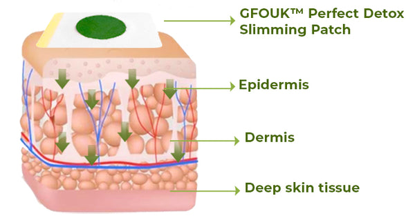 GFOUK™ Perfect Detox Slimming Patch