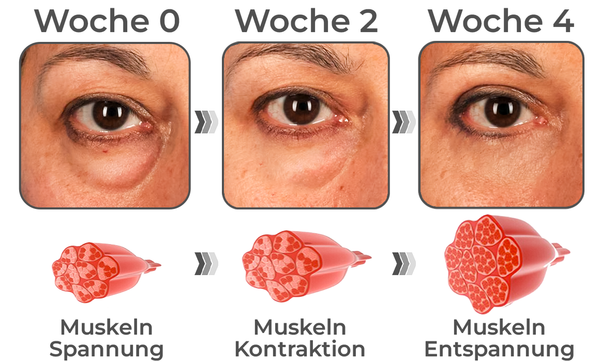 GFOUK™ RevitaLine SchlangenVenom Peptid-Augencreme