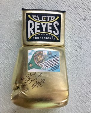 Mexican Boxing Glories 2017