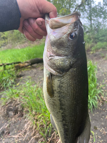 B.C. Bass Fishing