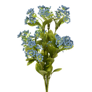Gypsophila Bush Blue